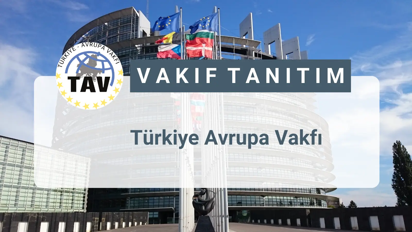 Türkiye Avrupa Vakfı , insanlığın ortak değerlerini, bu çerçevede insan hakları, demokrasi, özgürlük ve hukukun üstünlüğü ilkelerini korumayı ve geliştirmeyi temel amaç saymaktadır. İ